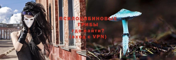 твердый Богородск