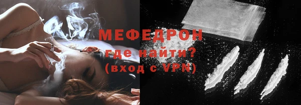 стаф Богданович