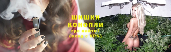 твердый Богородск