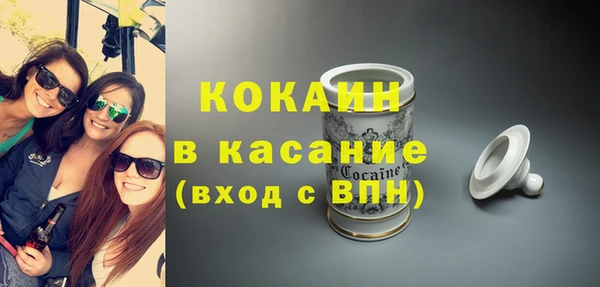 стаф Богданович
