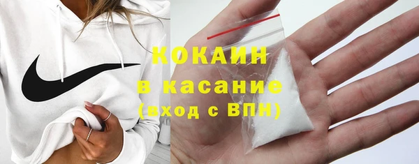 стаф Богданович