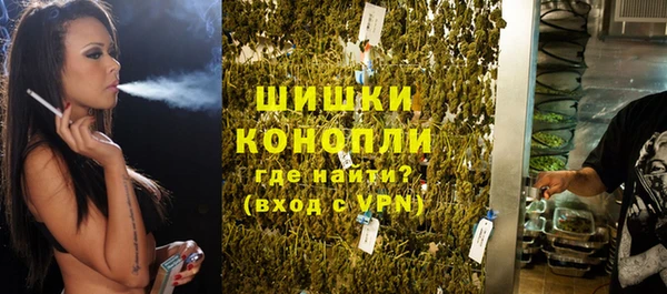 твердый Богородск