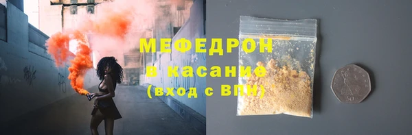 стаф Богданович