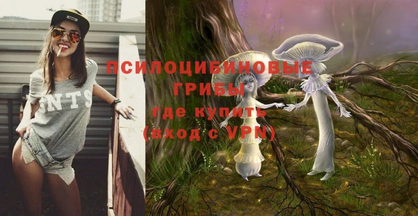 твердый Богородск