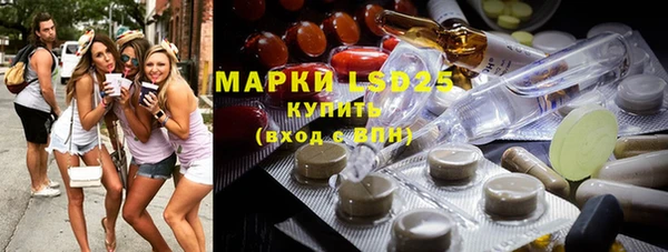 стаф Богданович
