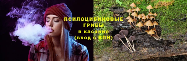 стафф Богородицк