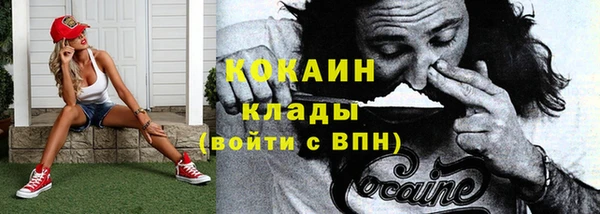 стафф Богородицк