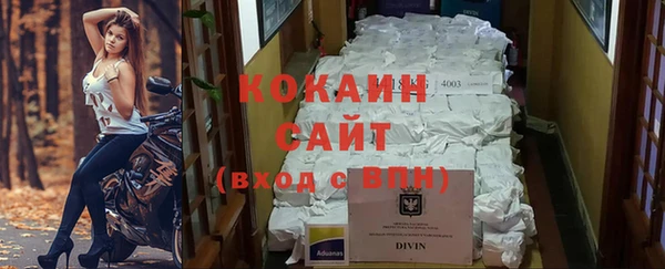 твердый Богородск