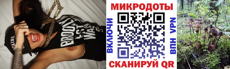 Галлюциногенные грибы Cubensis  Можайск 